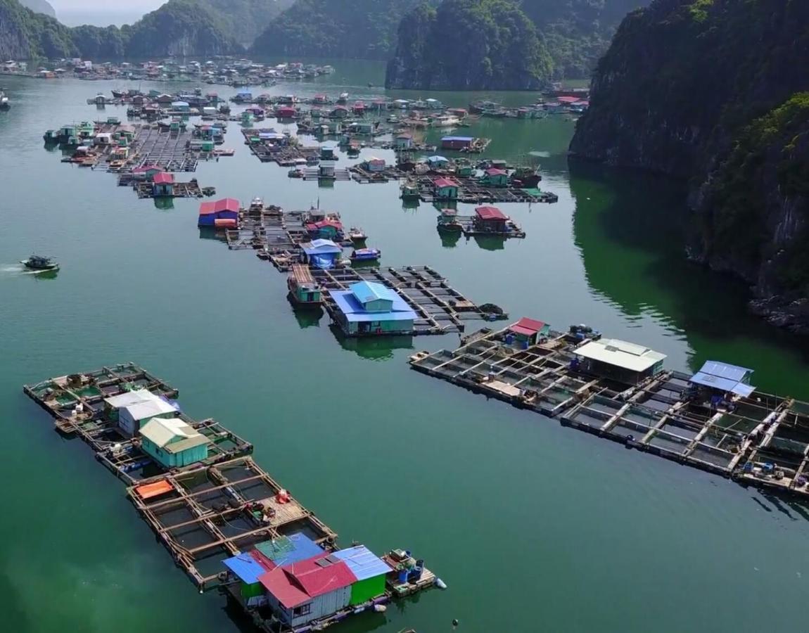 Cat Ba Thailand Hotel Dong Khe Sau Eksteriør billede